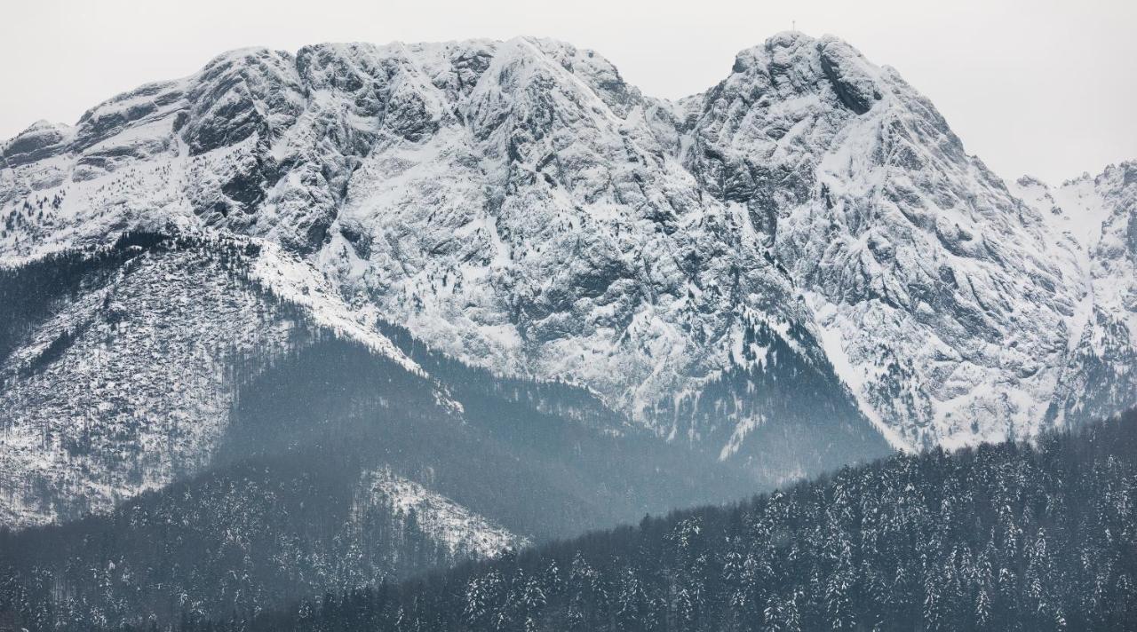 Szymaszkowa 3 By Homeprime Zakopane Kültér fotó